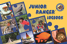 Junior Ranger Logbook